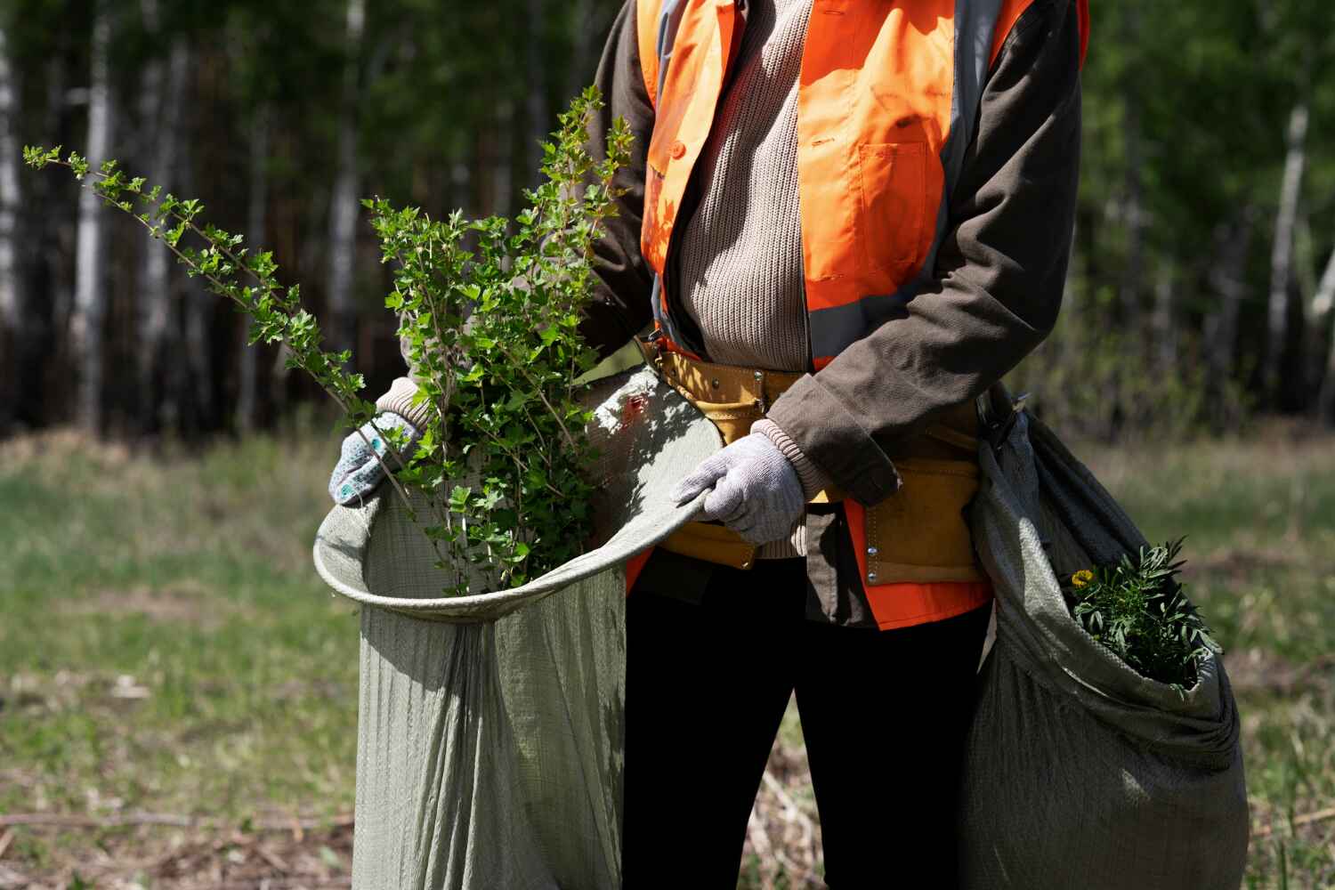 Best Tree Cutting Near Me  in USA